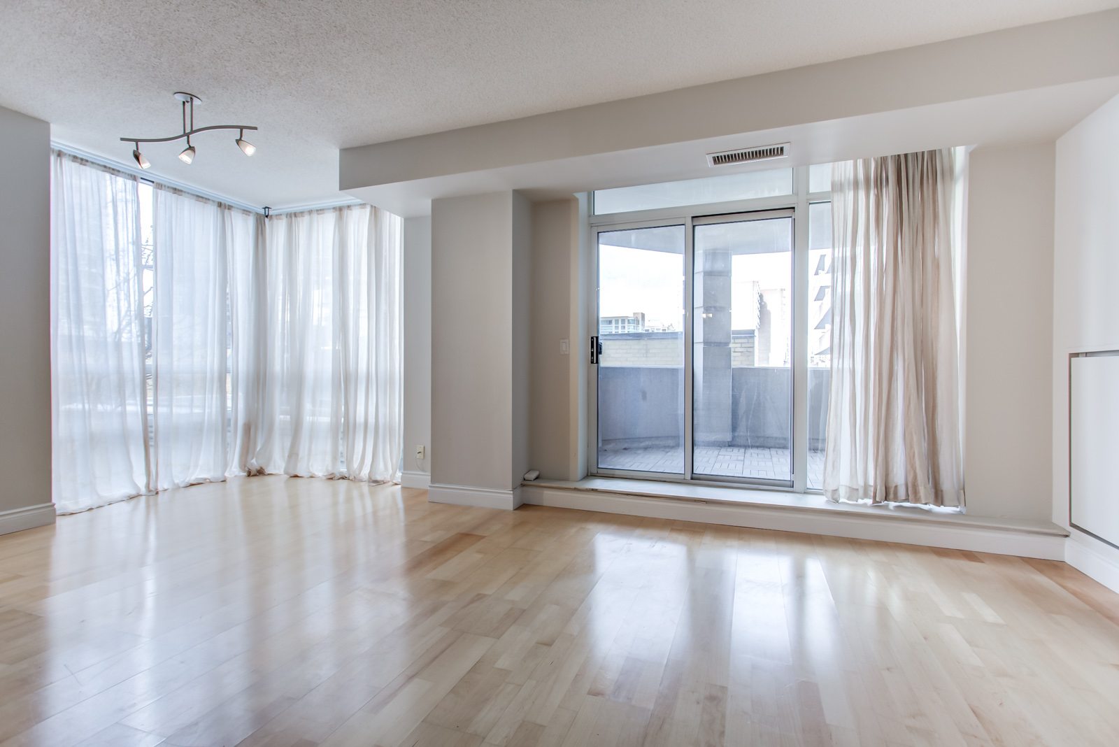 Brightly lit empty living room with gray walls and hardwood floors of 20 Collier St Unit 408.