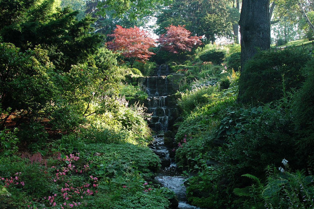 Photo of waterfall and trees in High Park Toronto.