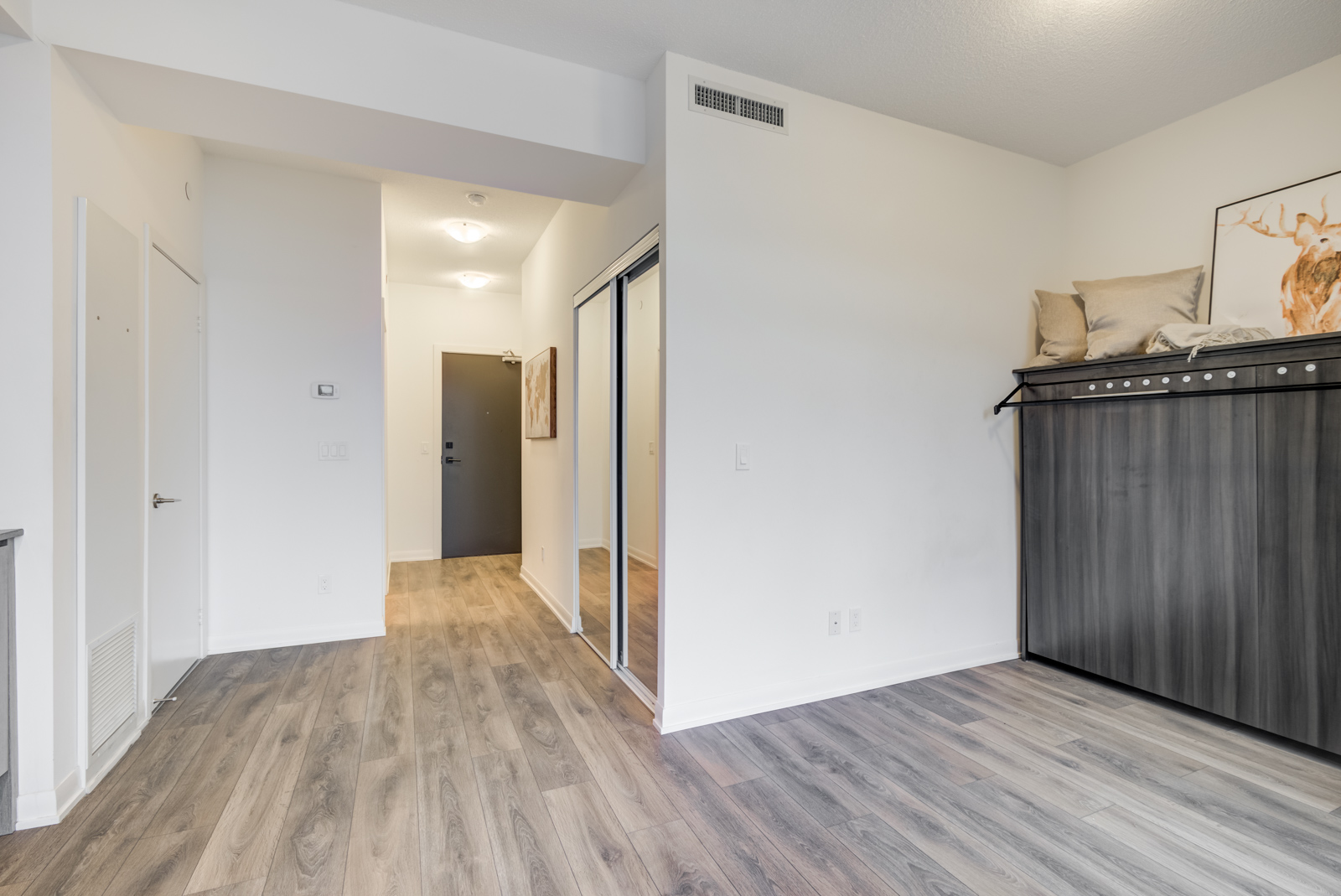 Closed Murphy bed on right and hall view with closed closet doors.