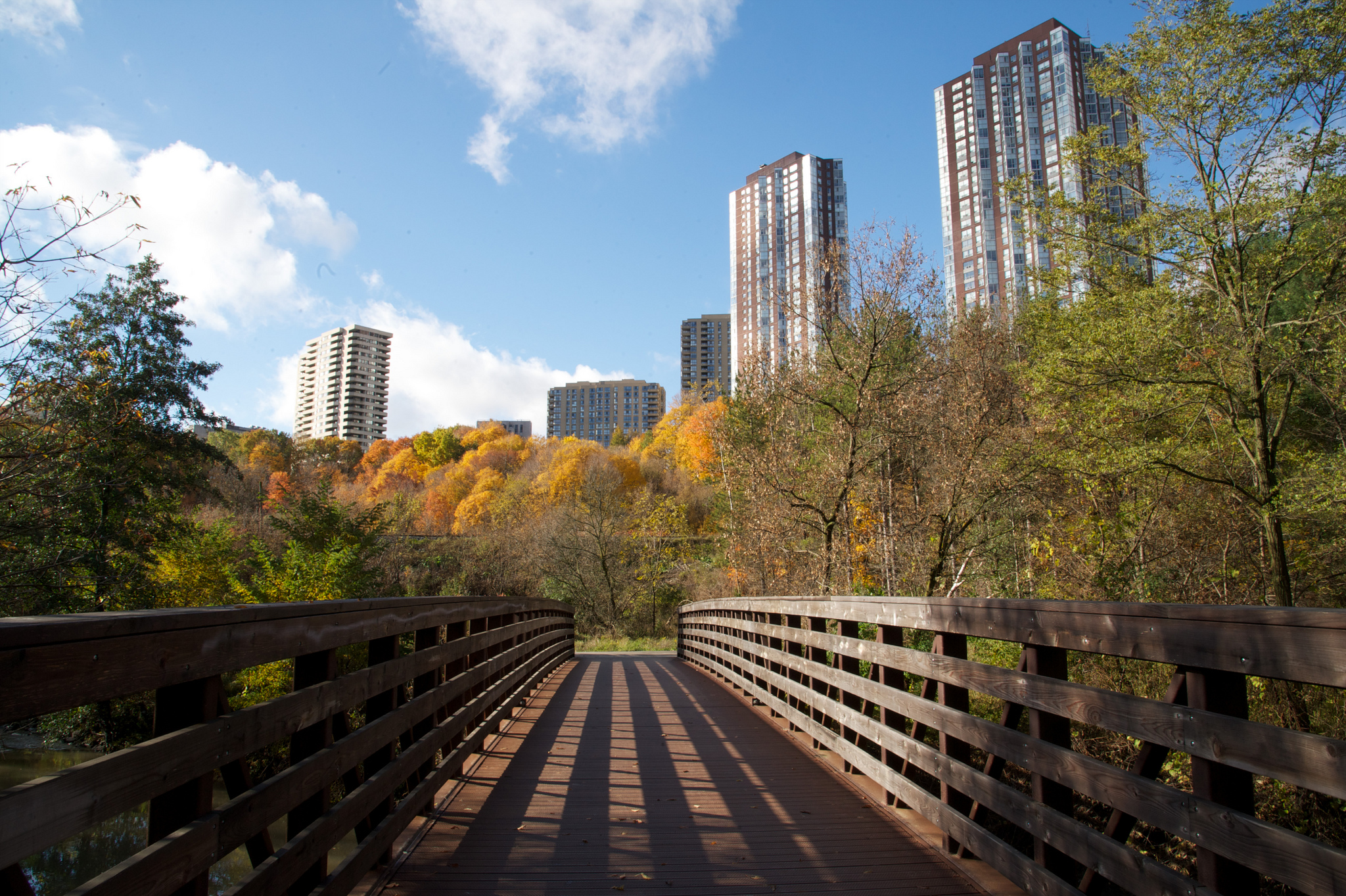 This photo shows the Don River bridge and park. It's almost evening time and maybe spring season due to the trees changing colour.