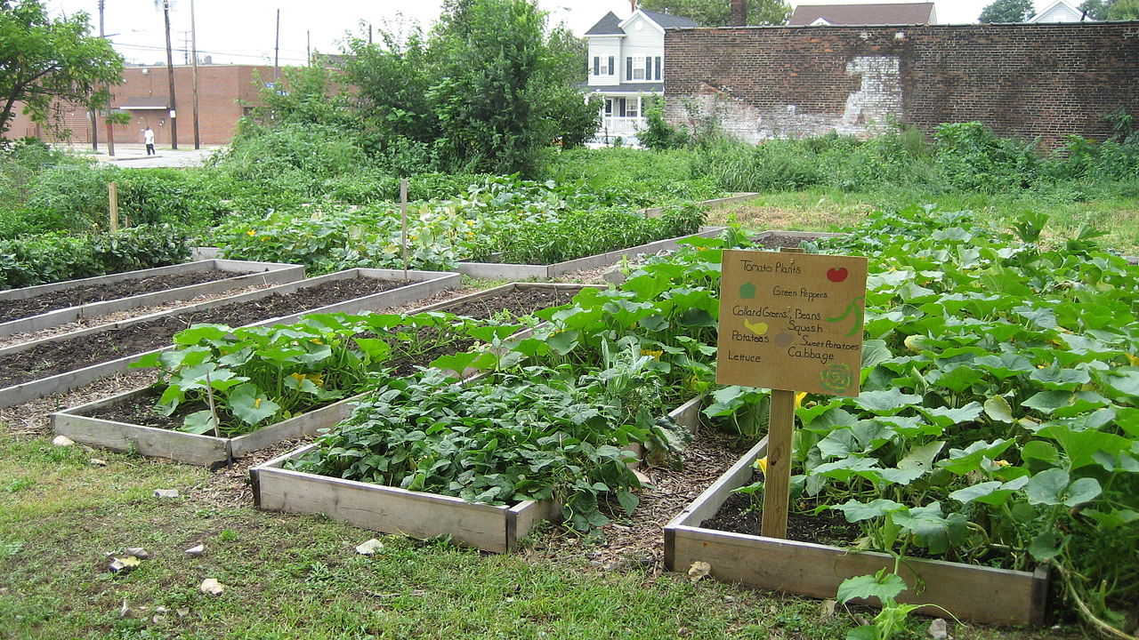 The neighbourhood has several green-spaces, including its own community garden (Image Credit: Jeff Schuler, Wikimedia)