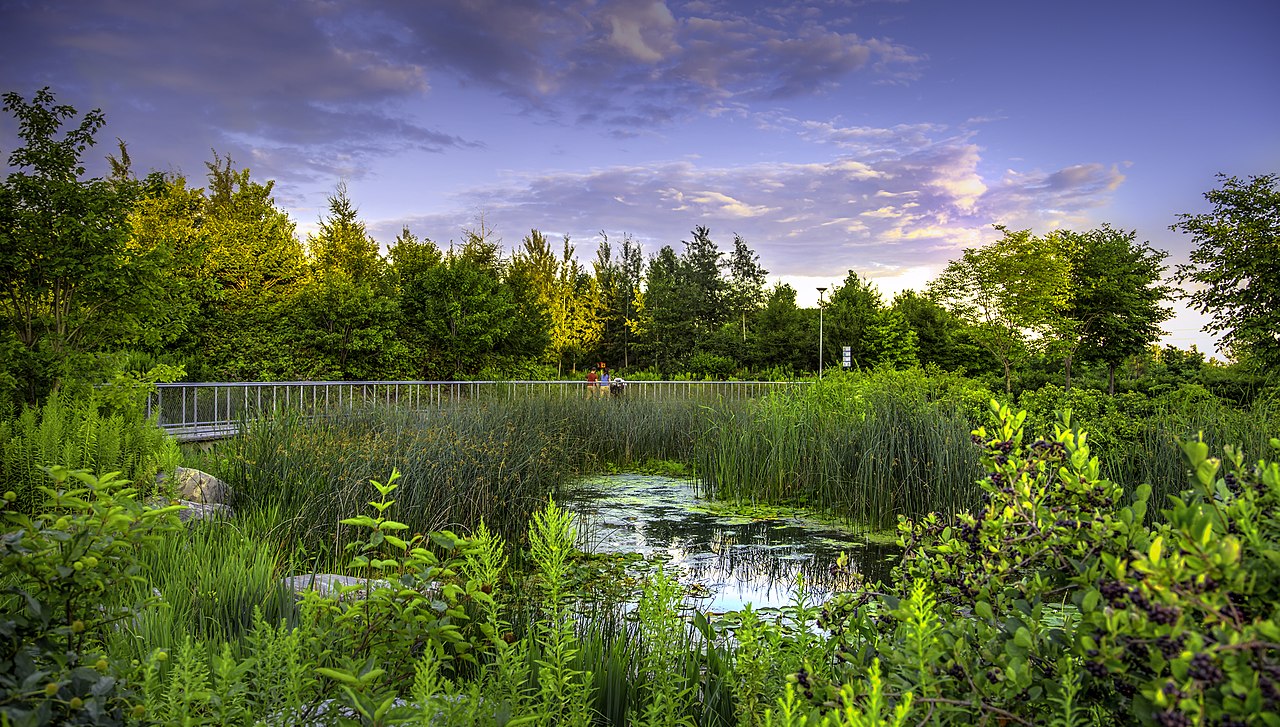 Photo of Corktown Commons park in Toronto