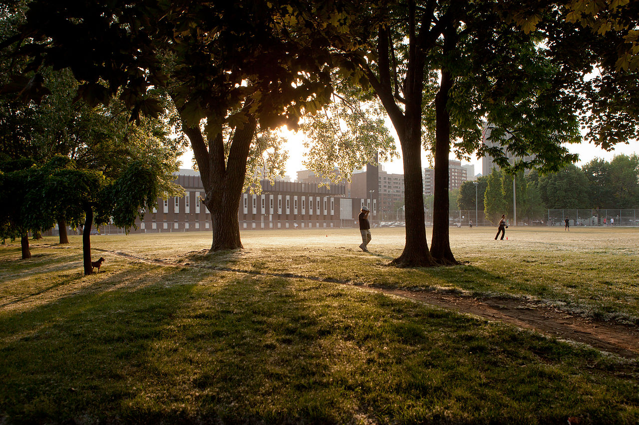 Photo of sunrise and Moss Park