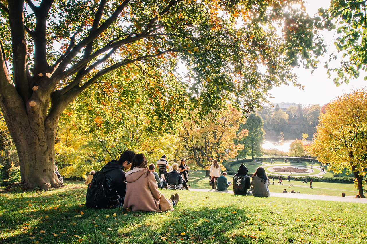 Another photo of Maple Leaf Garden and High Park Toronto.