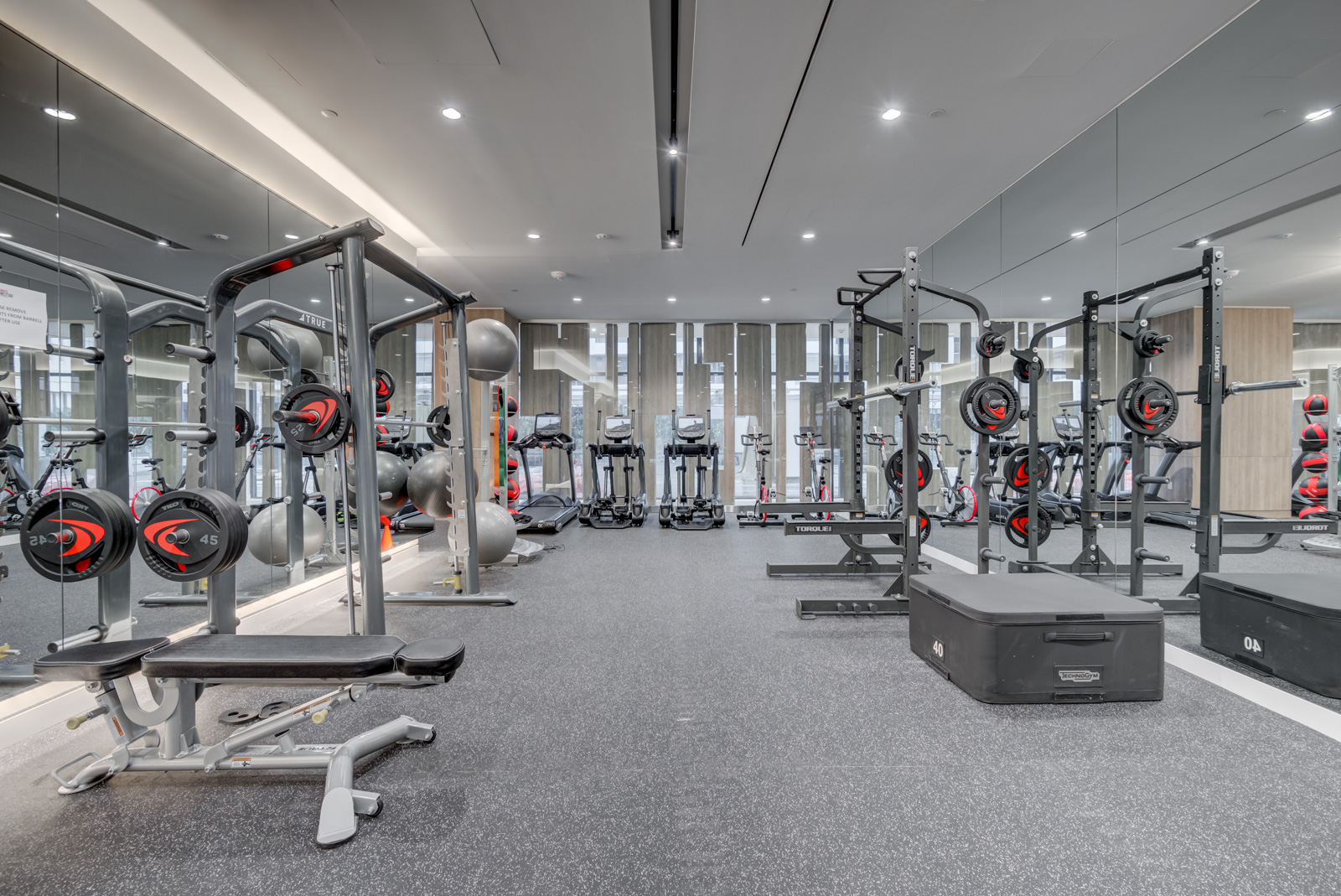 Modern gym at Minto Condos with weights, treadmills, exercise bikes and exercise balls.