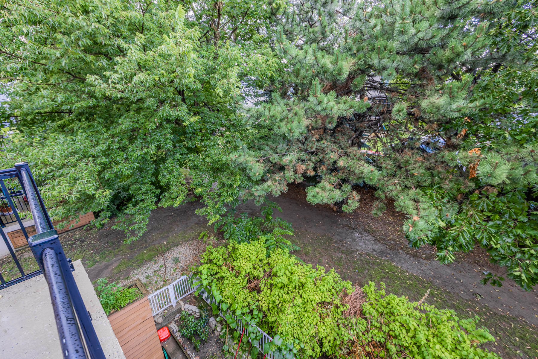 View of garden from 2nd floor balcony.