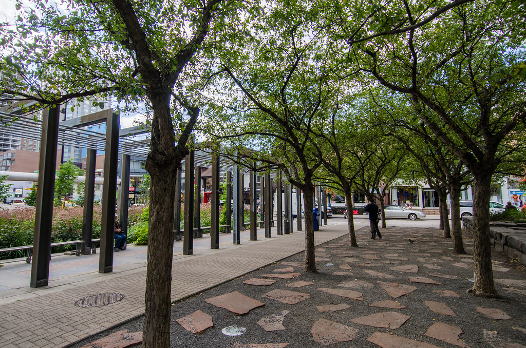 Trees and benches at Village of Yorkville Park.