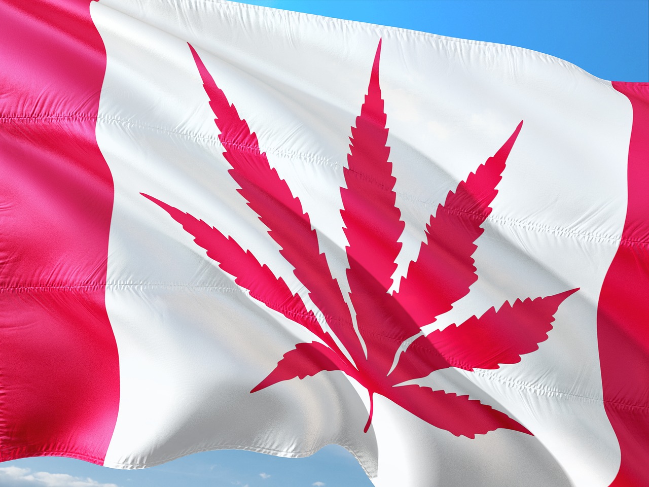 Flag of Canada with cannabis leaf replacing maple leaf, showing legalization of marijuana.