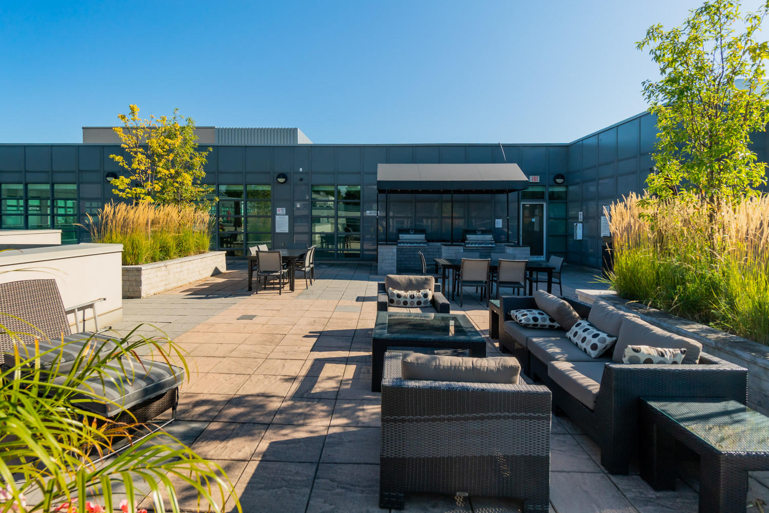 380 Macpherson Ave rooftop patio with tables, chairs and plants.