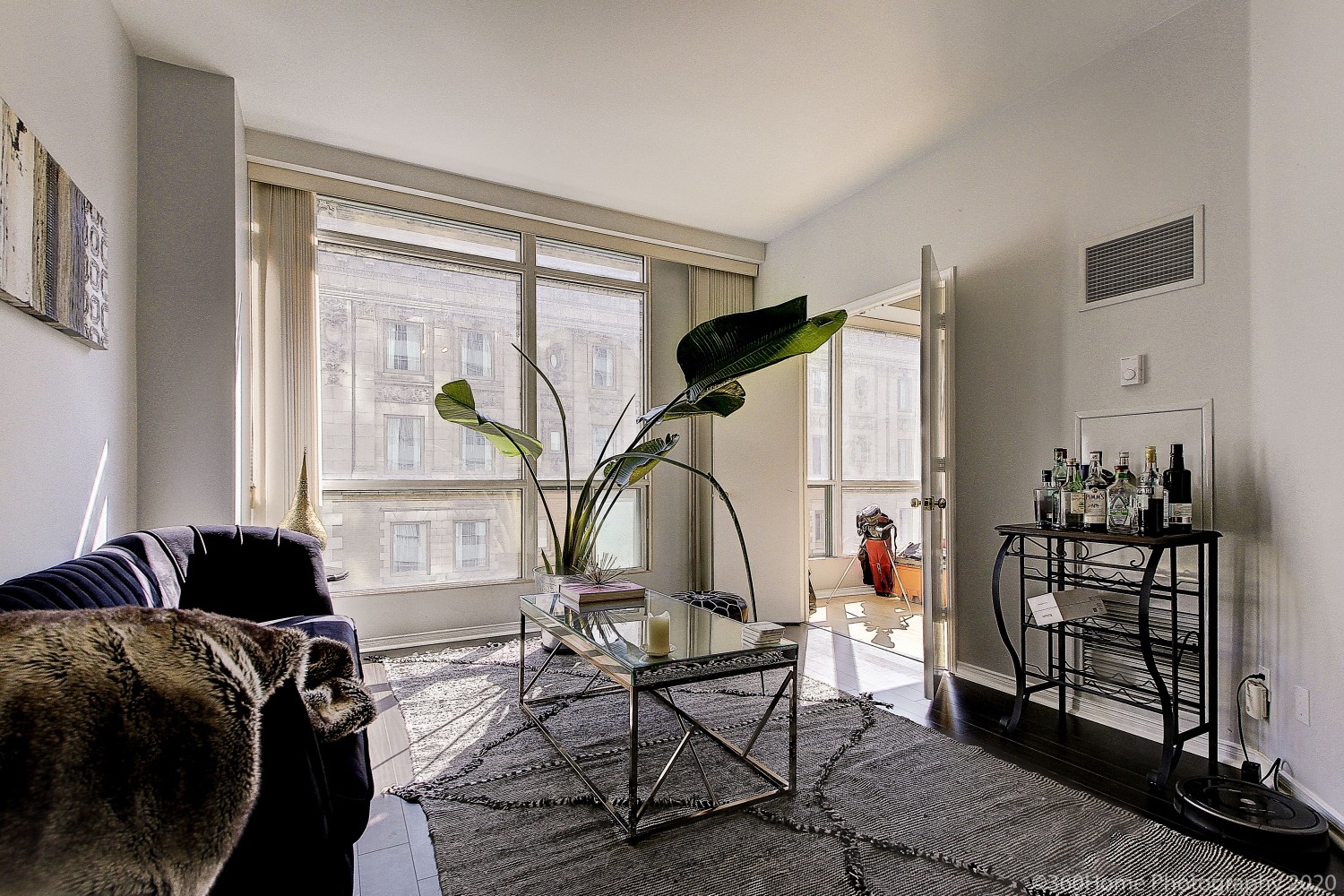 817-7 King St E living room with huge windows, large plant, and table with bottles of alcohol.