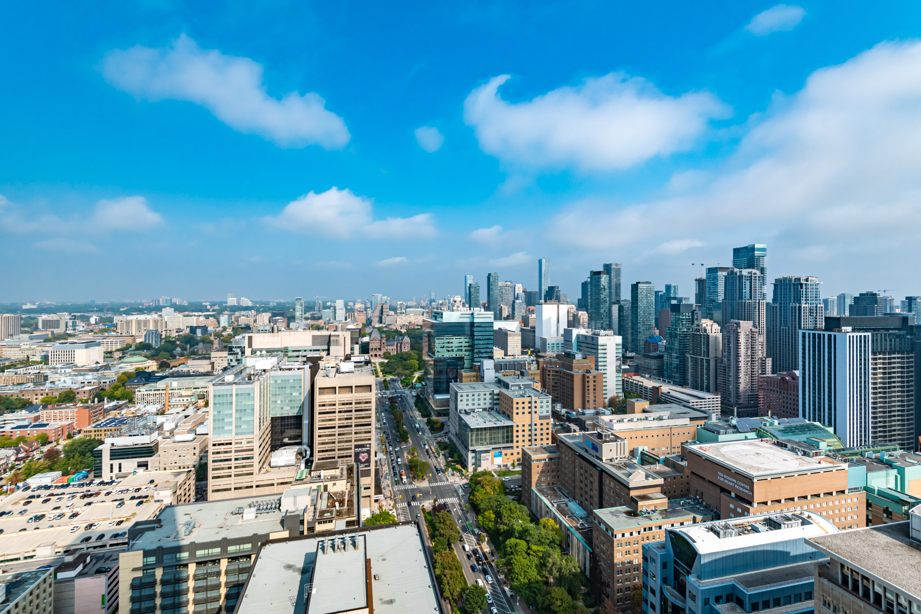 Morning view of Toronto skyline showing blue skies, tress and buildings.