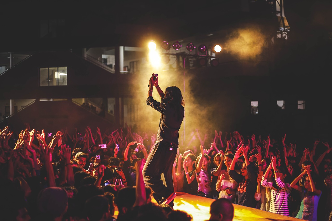 Performer on stage at concert with audience cheering; bright lights.