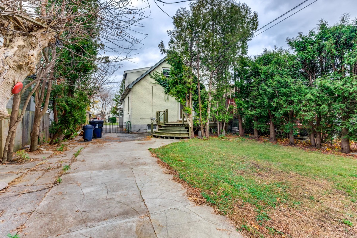 Backyard with trees, grass and shed.