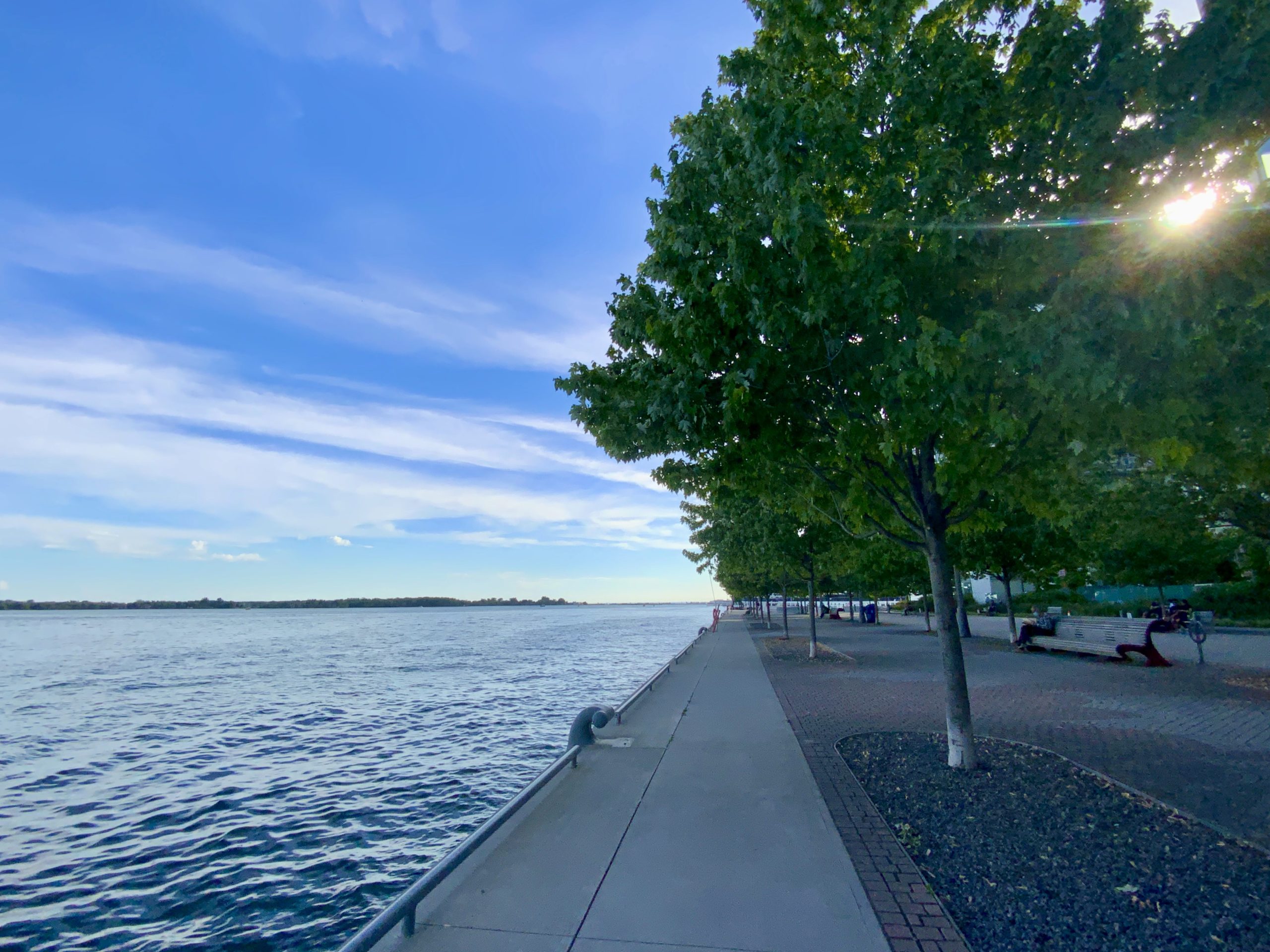 Toronto Waterfront with trees and lake.
