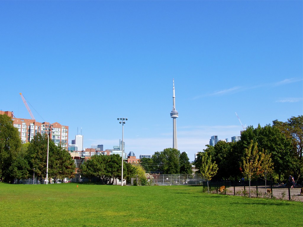 View of CN Tower from park.