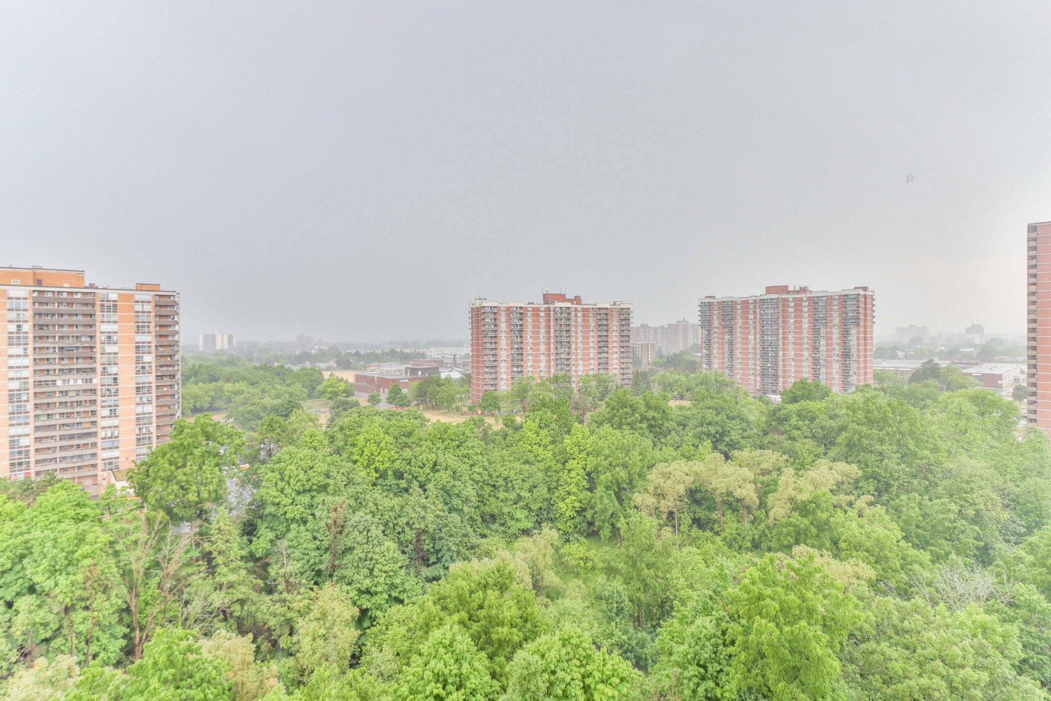 View of Humber Valley Ravine from 5 Rowntree Rd Unit 1404 balcony.