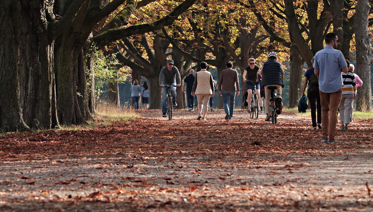 Pedestrians and cyclists at park in autumn.