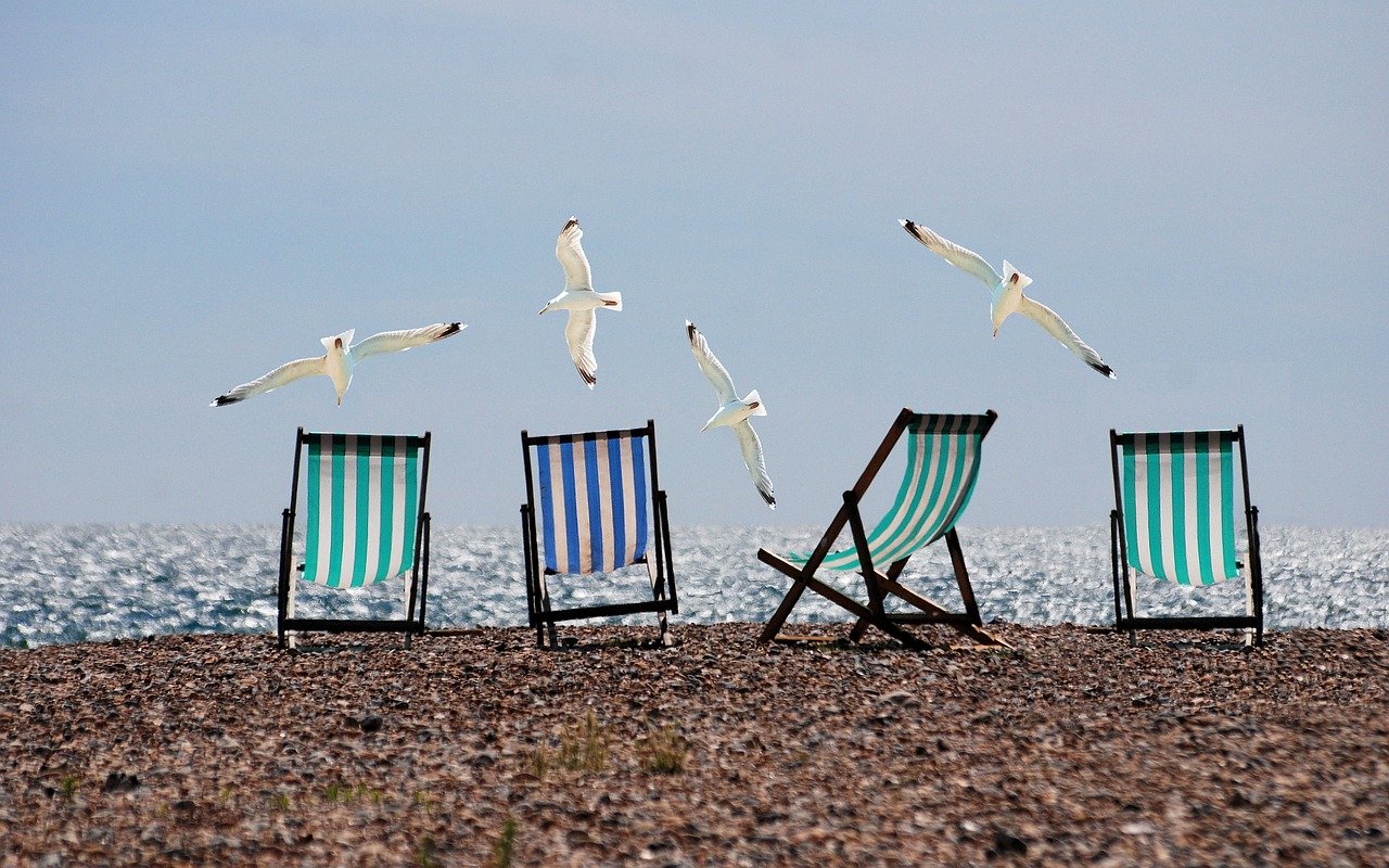 Four empty blue and white deck chairs and flying seagulls.