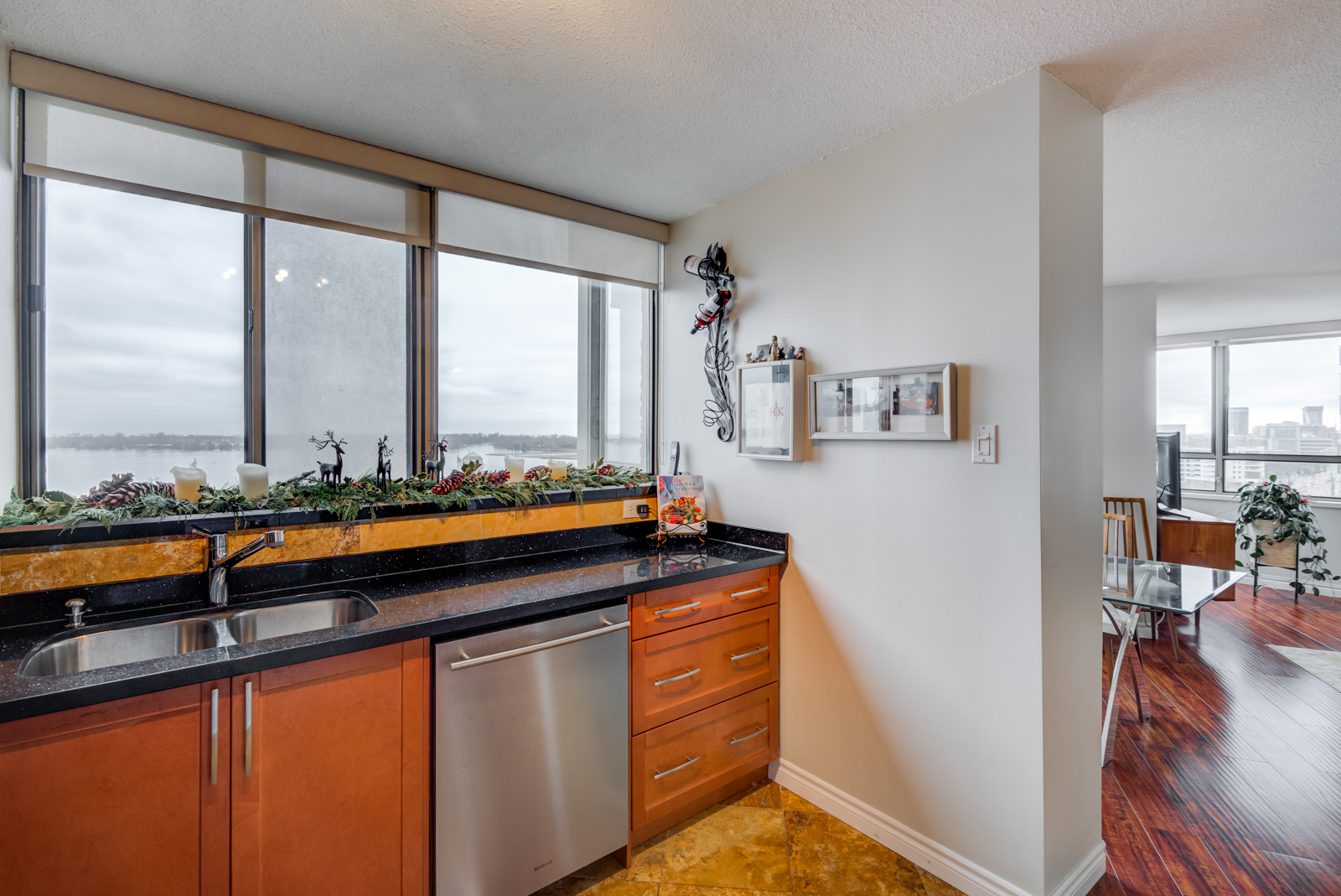Black granite kitchen counter-top with view of Toronto Waterfront.