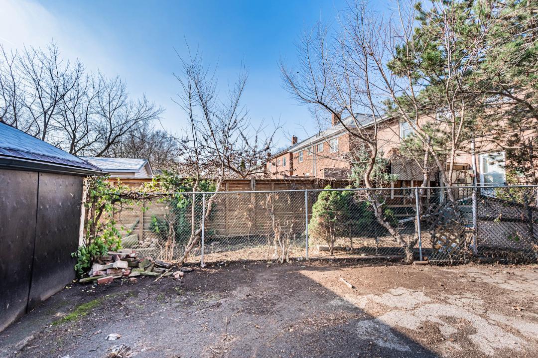 House backyard with trees and fencing.