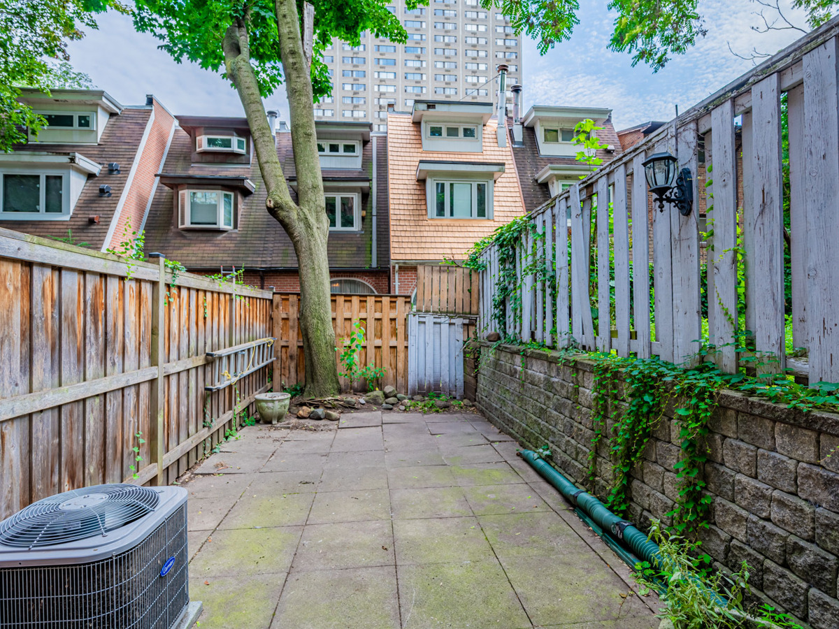 49 Granby St – huge backyard with tall tree and high fencing.