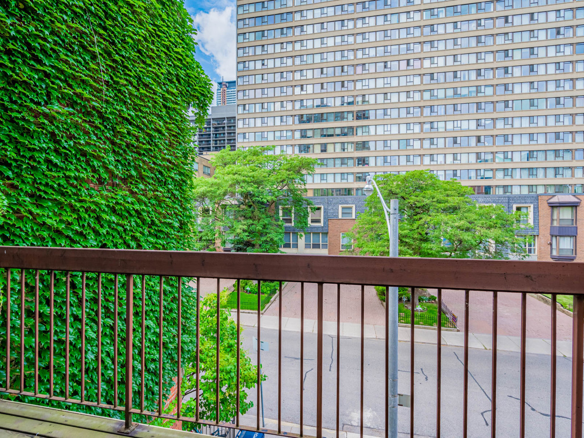 49 Granby St terrace with ivy-covered wall.