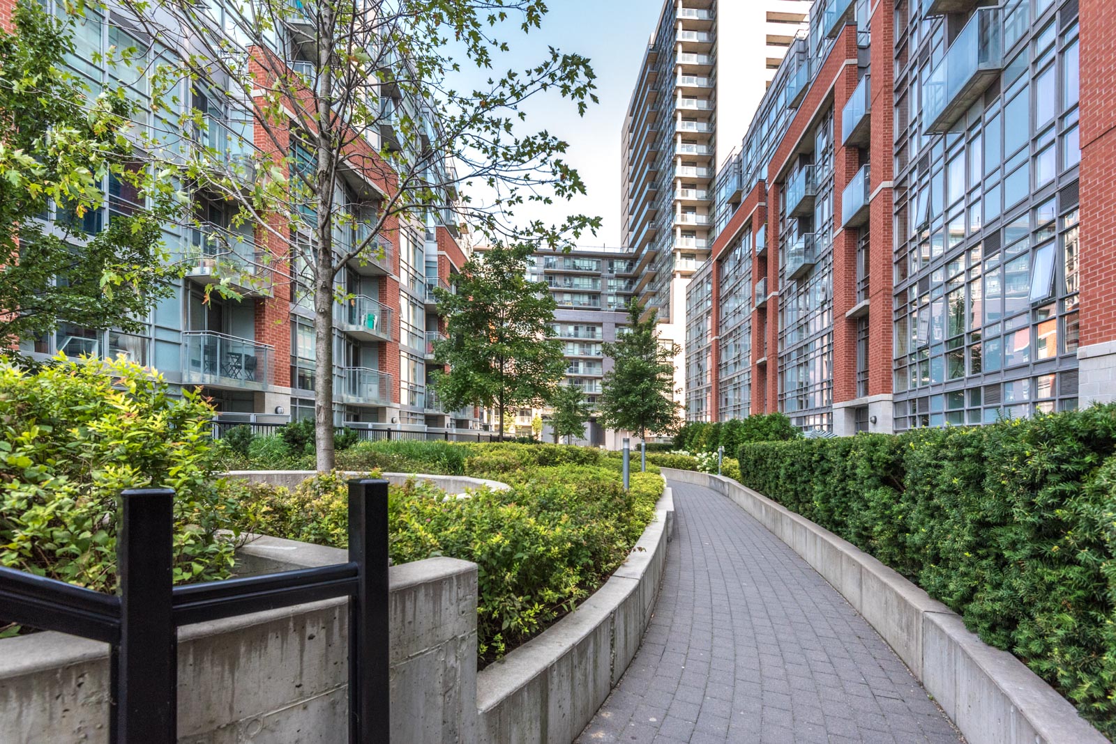 Photo of a courtyard lined with bushes and trees.