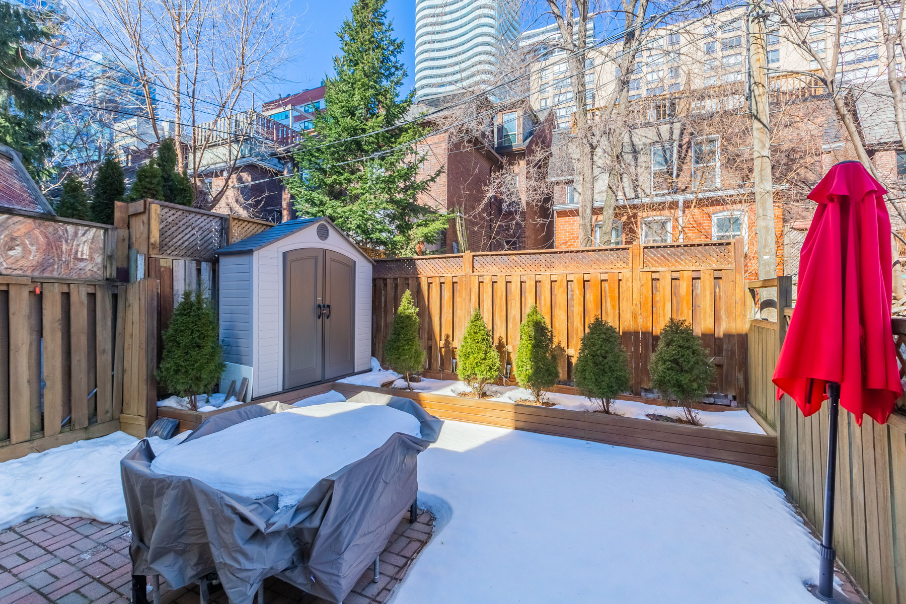 Backyard with garden and evergreen plants