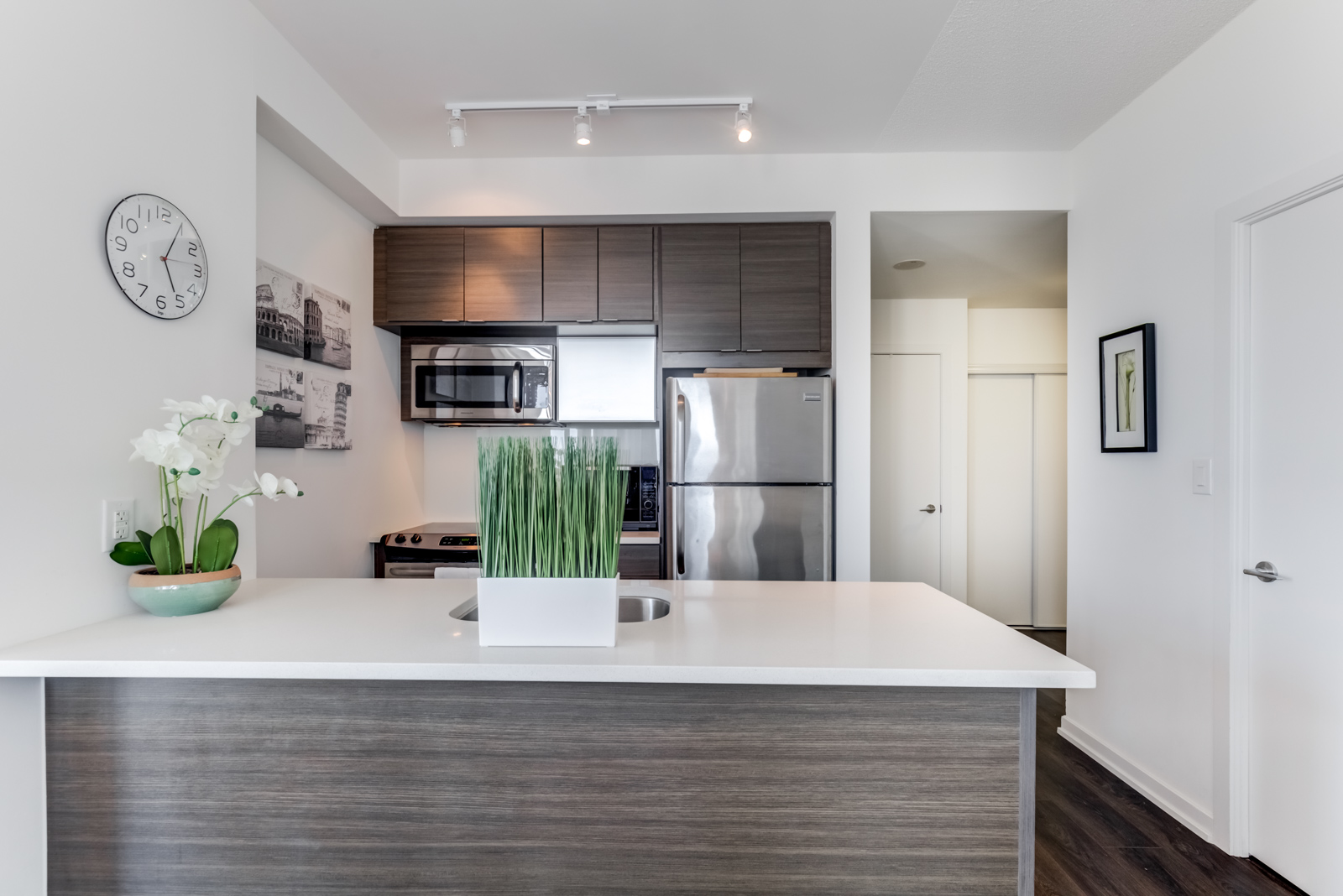 Breakfast bar with white granite counter, green plant and kitchen appliances in background.