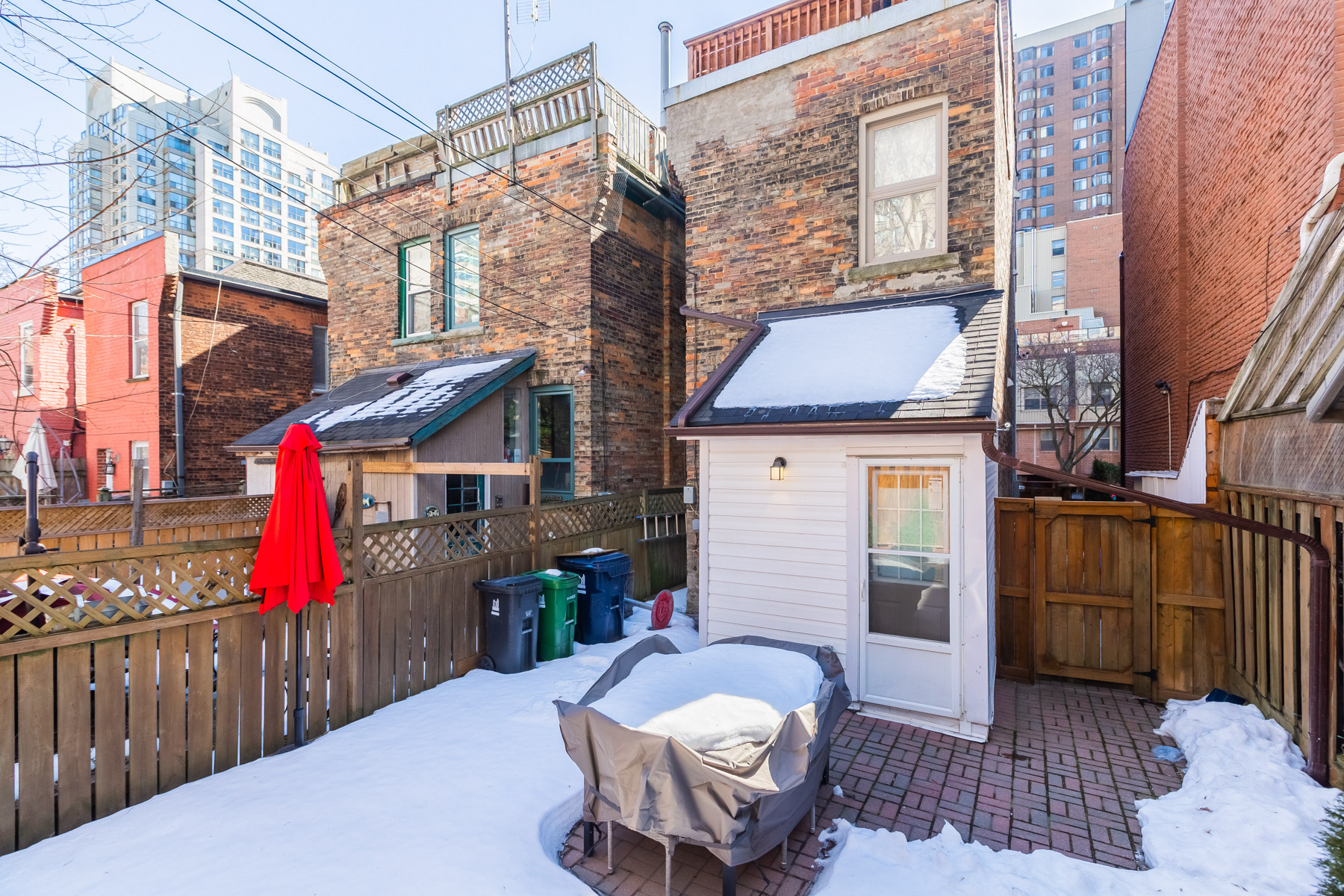 120 McGill St spacious backyard.