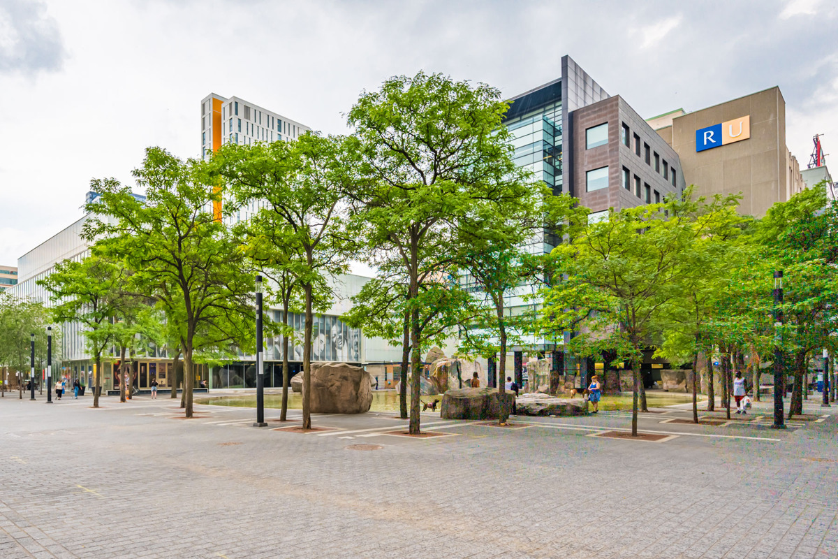 Ryerson University with trees in foreground and buildings.