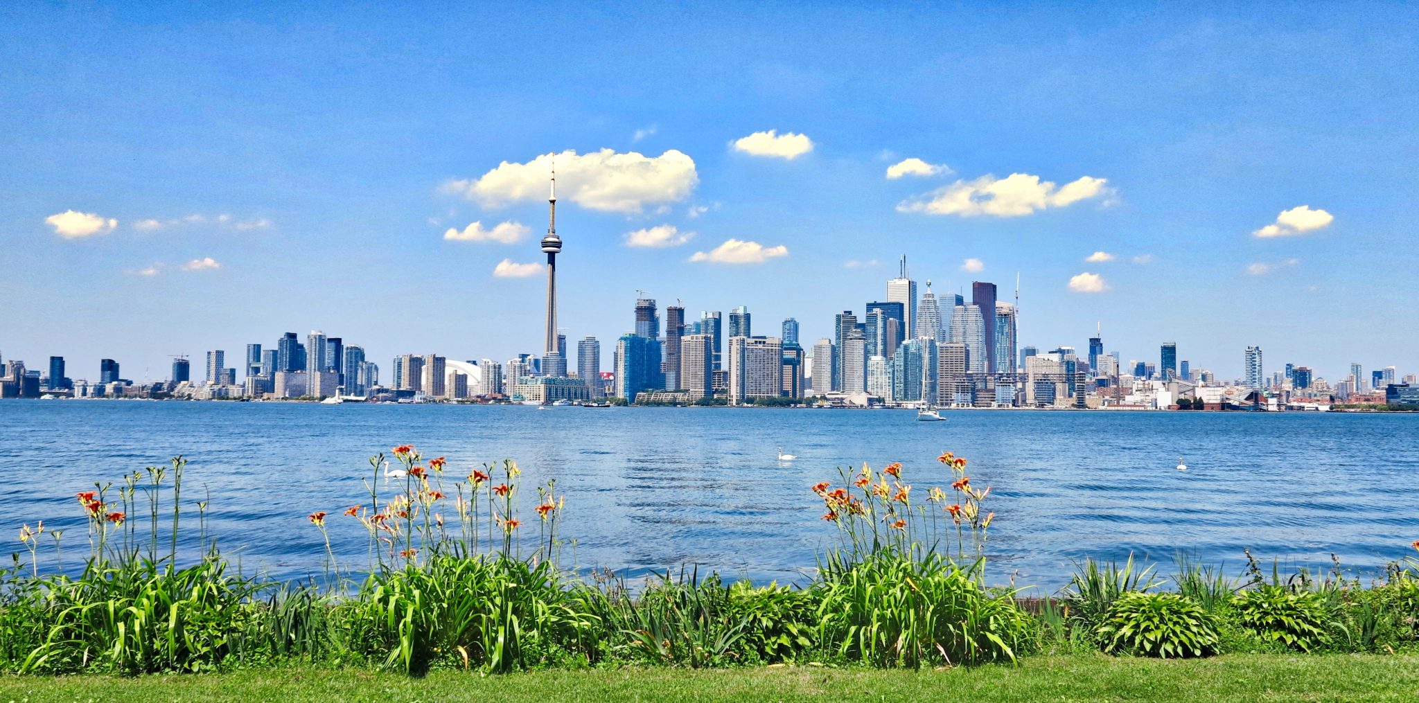 Toronto Waterfront, as we see it from Toronto Island.