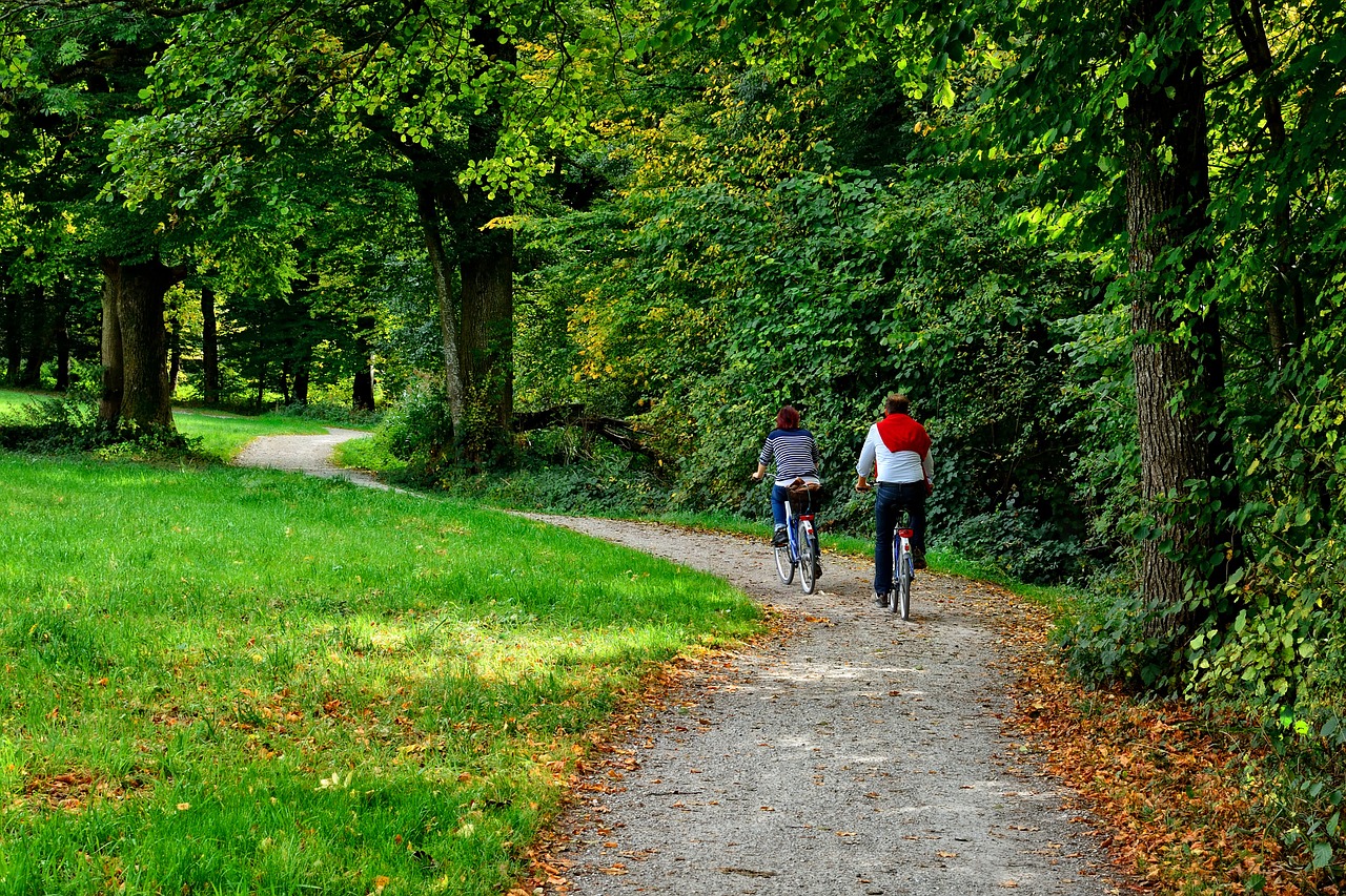 Bike trail with trees and grass and bicycles
