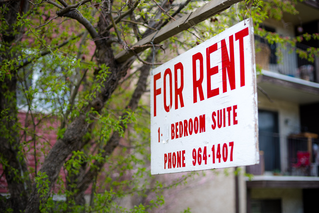 For Rent sign with red lettering hanging on tree.