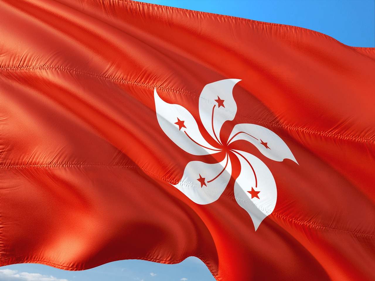 Flag of Hong Kong waving.