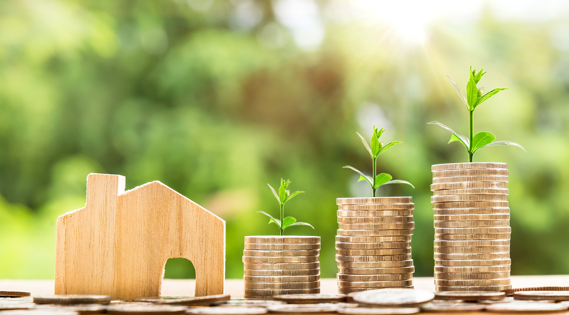 Image of money and wooden house.