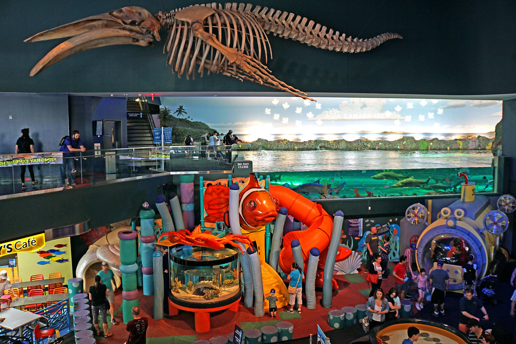 Ripley's Aquarium kid's play area with games and large skeleton.