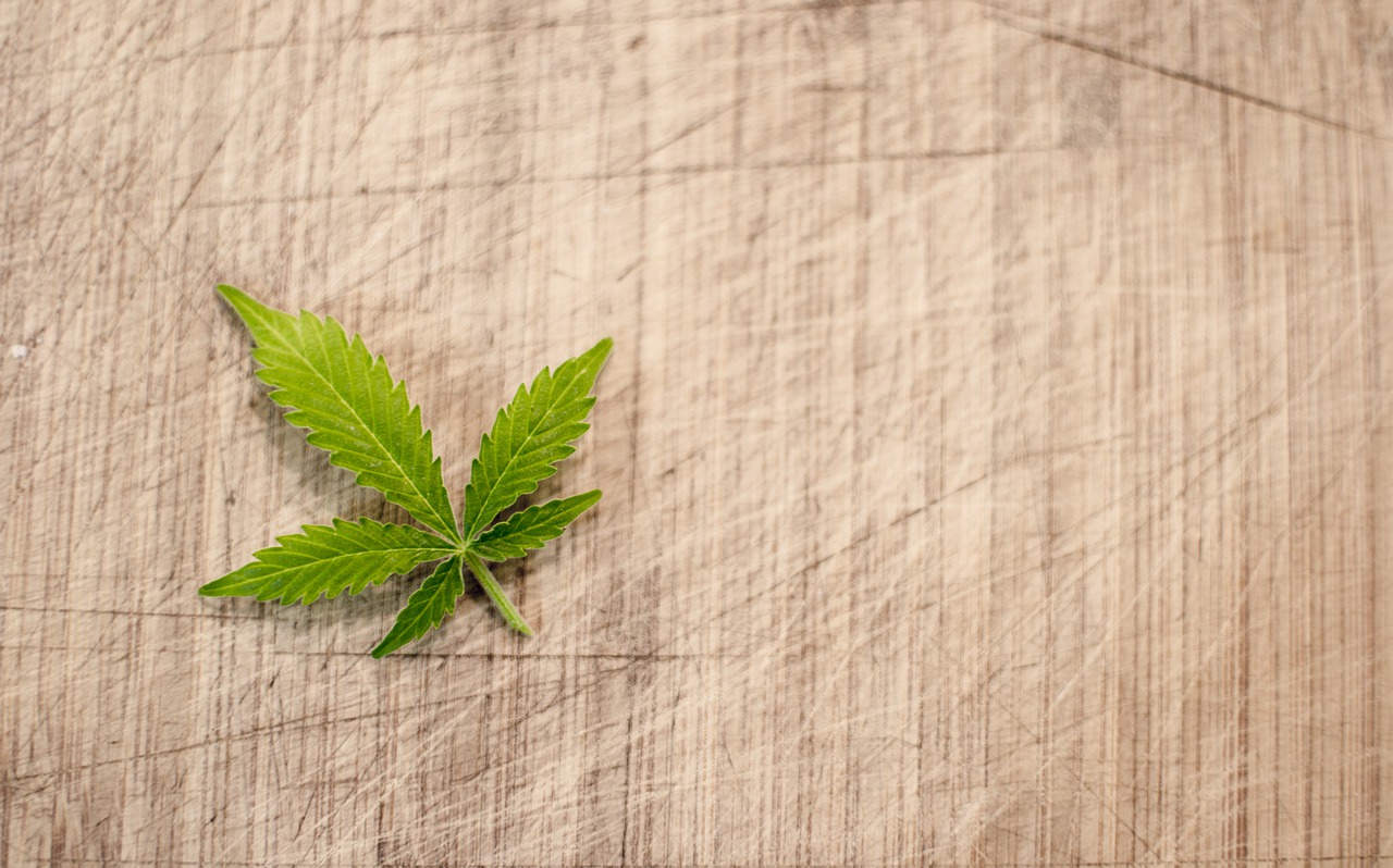 Cannabis leaf on a cloth.