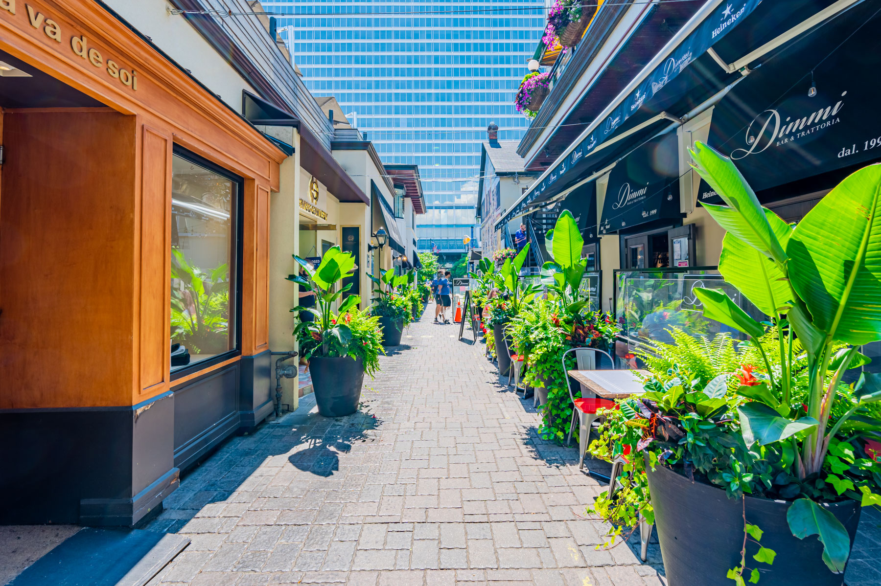 Narrow lane with potted plants and Dimmi Bar & Trattoria restaurant, Yorkville Toronto.