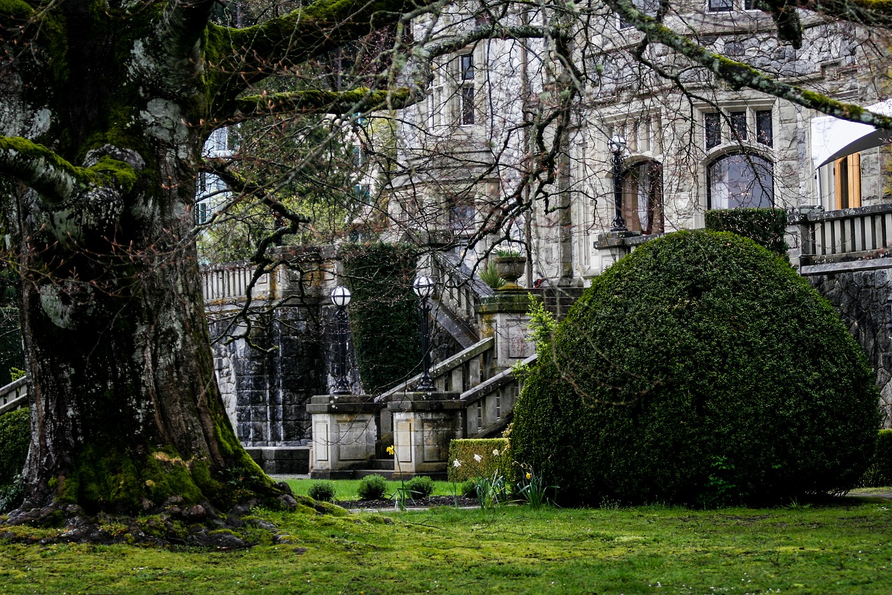 Trees, bushes and Victorian mansions