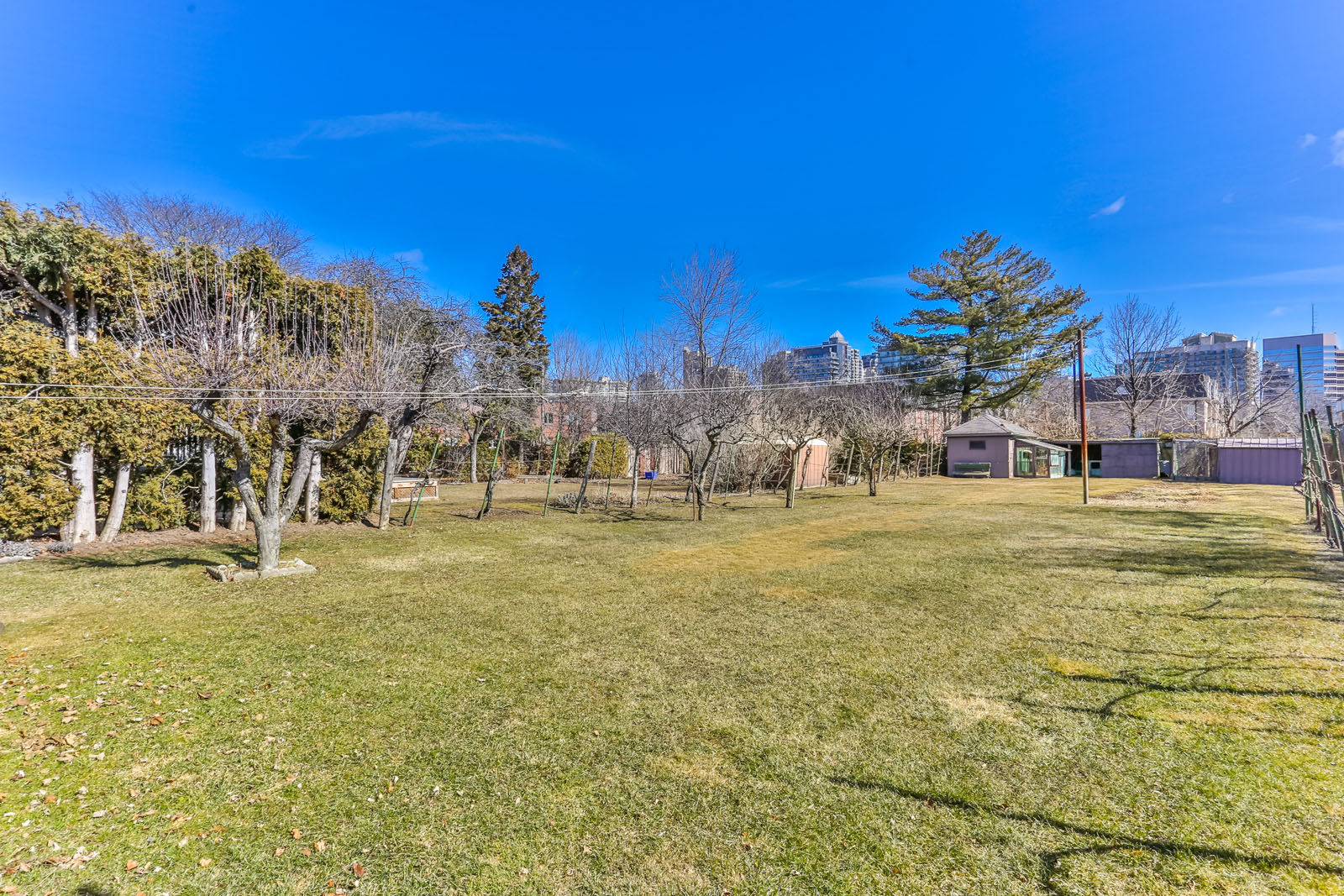 In this photo we can see the huge backyard. So much of it is grass and trees.