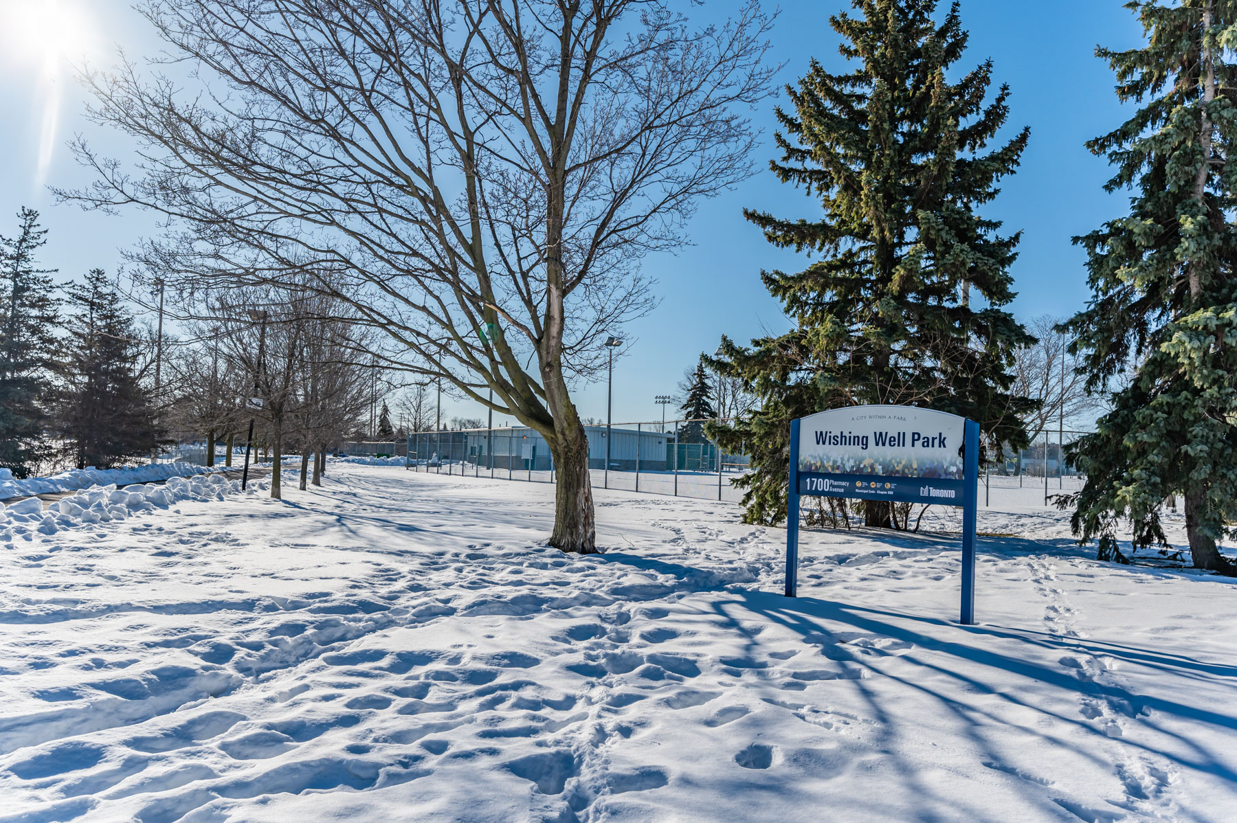 Trees, snow and Wishing Well Park sign.