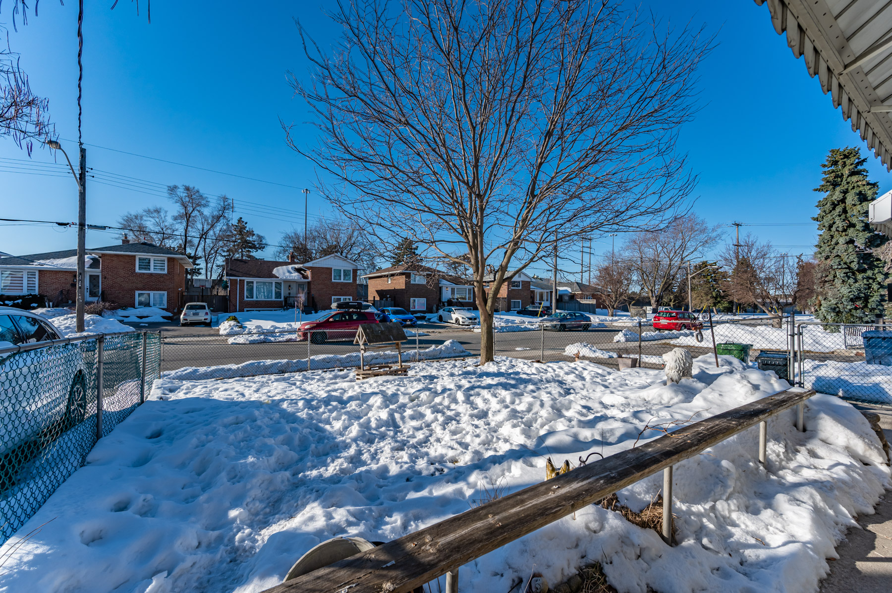 Snow-covered front yard with large tree.