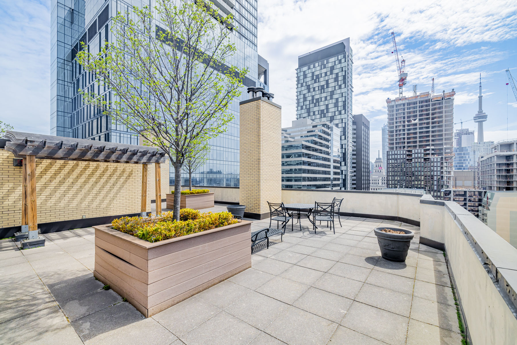 One Park Lane condo rooftop deck with view of CN Tower and Toronto skyline.