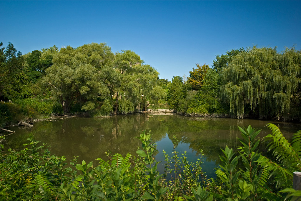 Photo of Black Creek Mill Pond in North York, Toronto.