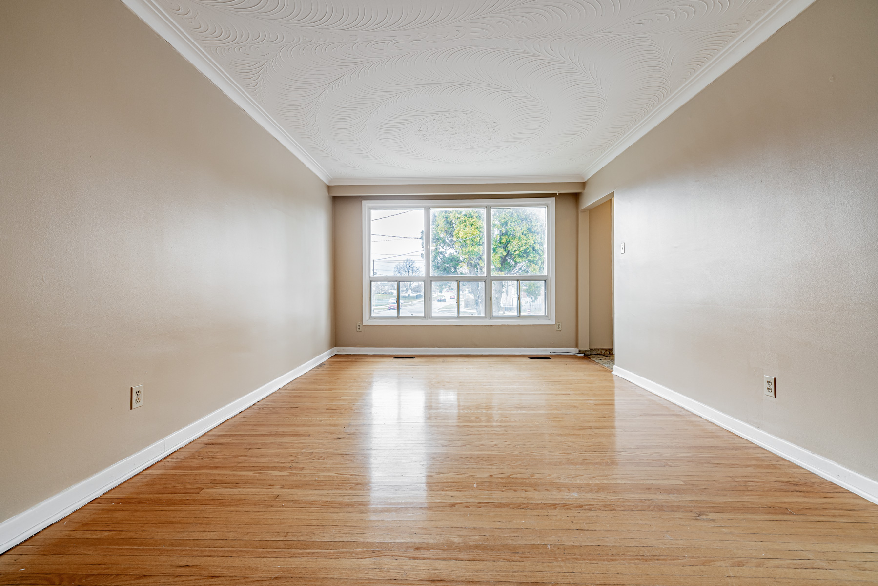 1 Stong Court living room with hardwood floors, large windows and ceiling with swirl patterns.