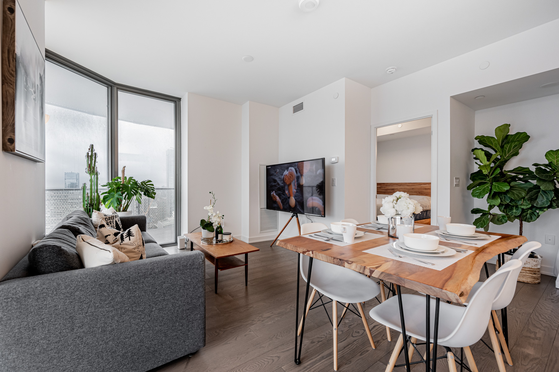 Condo living and dining rooms with dark floors, gray walls and ceiling, and bright green plants.