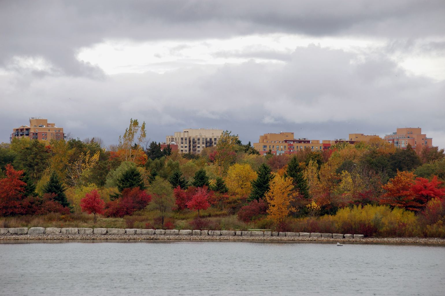 View of bridge and water along Colonel Samuel Smith Park.