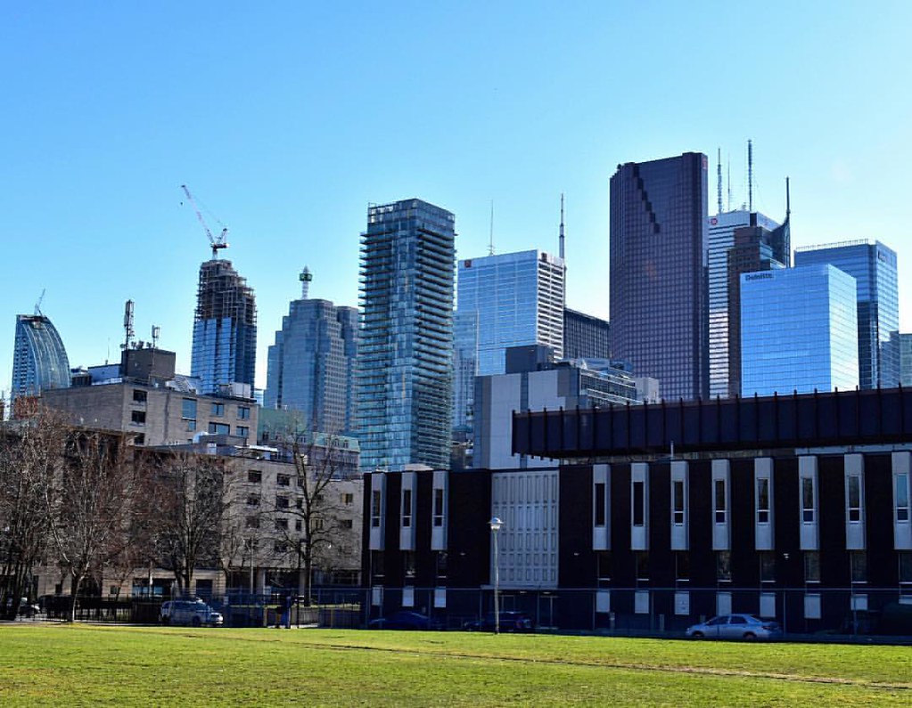 Moss Park in foreground; Toronto skyline in background. 