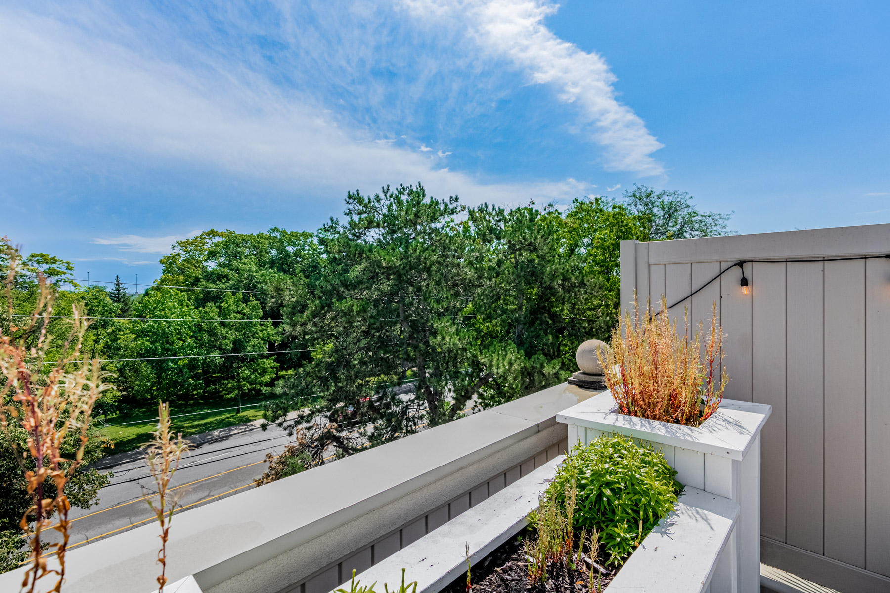 Trees and greenery seen from the roof of 2132 Bayview Ave Suite 199.